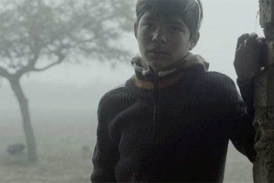 "Sin se&ntilde;ales particulares"