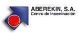 Aberekin, S.A.