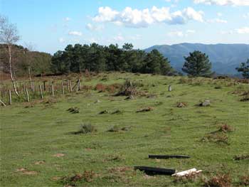 Eteneta II cromlechs