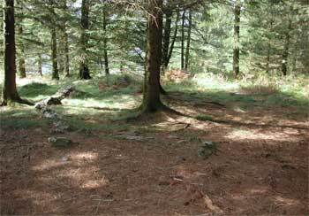 Deskarga cromlechs