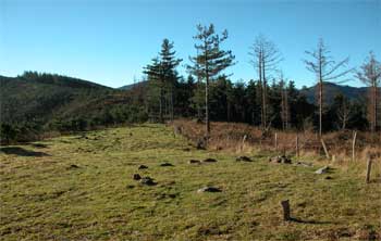 Ezioko Soroa cromlechs