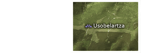 Usobelartza menhir - Location
