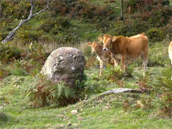 Usobelartza menhir