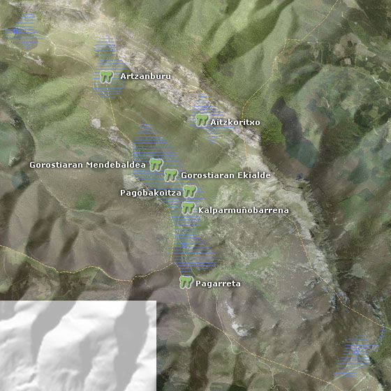 Aizkorriko trikuharriak