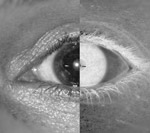 My face hits the aim of your gaze