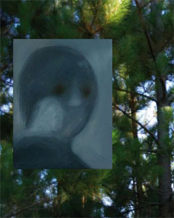 Serie Ellos, 2007 - Cobarde