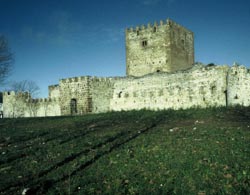 Castillo de Mu�atones