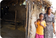 BECAS DE ESPECIALIZACI�N EN LA DIRECCI�N DE DESARROLLO