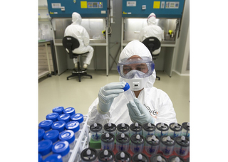 Basoko faunaren gaixotasunak eta etxeko espezieetara egon daitekeen transmisioei buruzko ikerketak