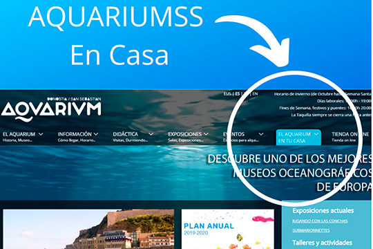 D&iacute;a Internacional de los Museos 2020, en el Aquarium-Palacio del Mar de Donostia-San Sebasti&aacute;n