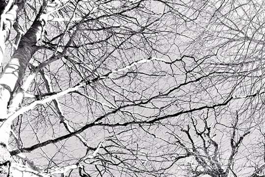 "Estudios de t&eacute;cnicas interiores", seminario en torno a Steve Paxton