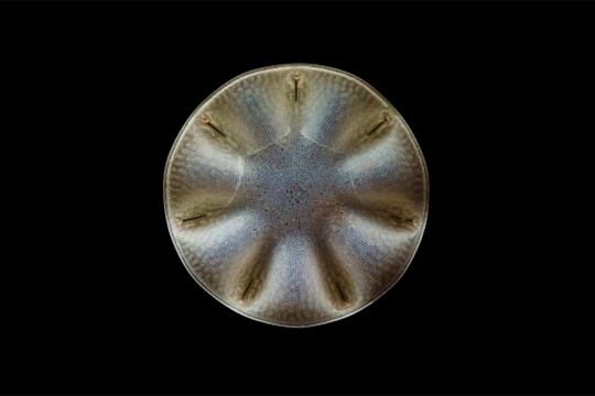 BAD Bilbao 2021: "Fuego Verde"