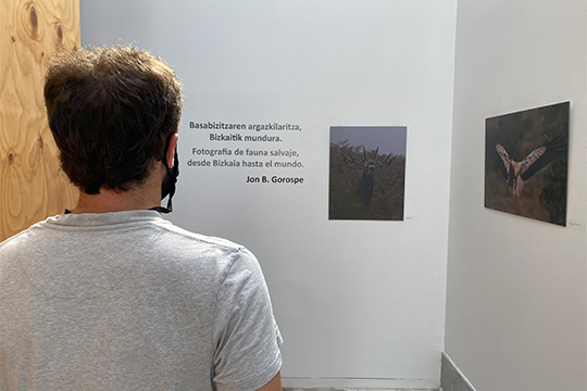 "FOTOGRAF&Iacute;A DE LA FAUNA SALVAJE, DESDE BIZKAIA HASTA EL MUNDO"