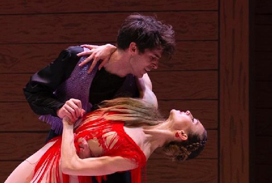 "Gala de danza de Navidad"