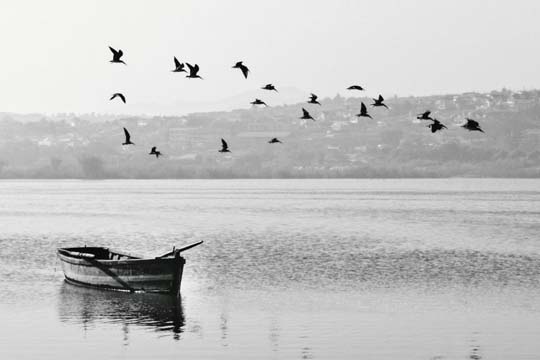 Euskadiko Orkestra (Temporada de abono): "Nuestro destino"