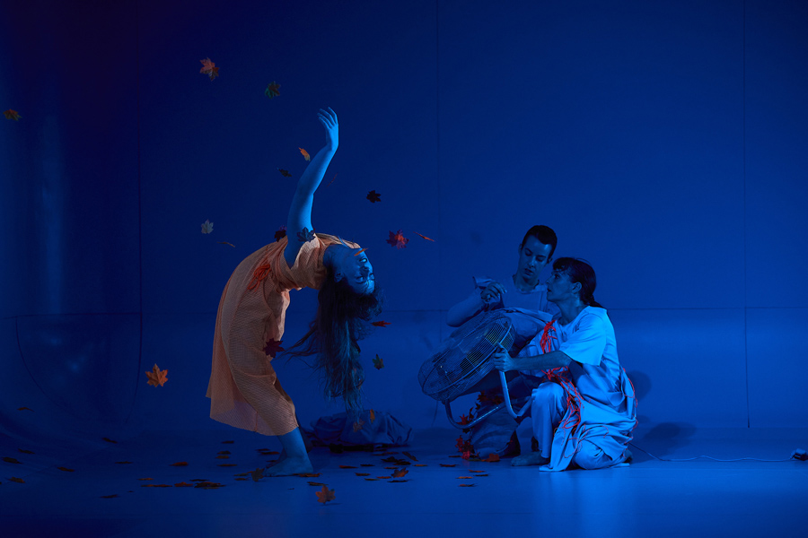 dFERIA 2023: "La casa vac&iacute;a"