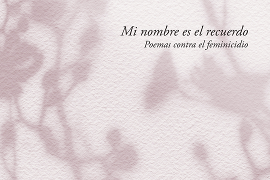 Presentaci&oacute;n del libro "Mi nombre es el recuerdo"