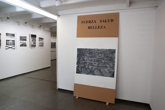 "La disciplina cura / Saiakera", exposici&oacute;n de I&ntilde;aki Gracenea