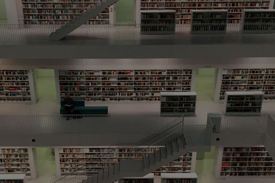 Auxiliar de Biblioteca (online). Curso acad&eacute;mico 2023/2024