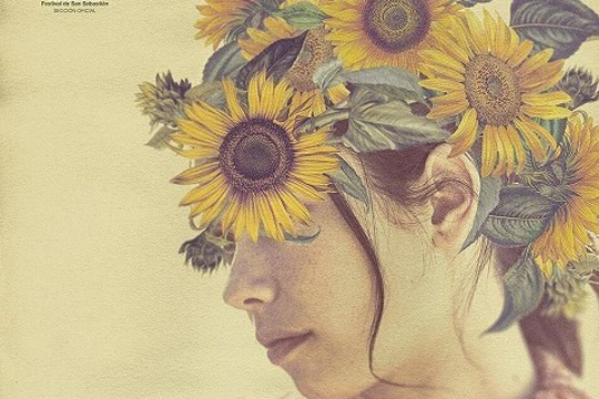 Zinemabarri: "Girasoles silvestres"