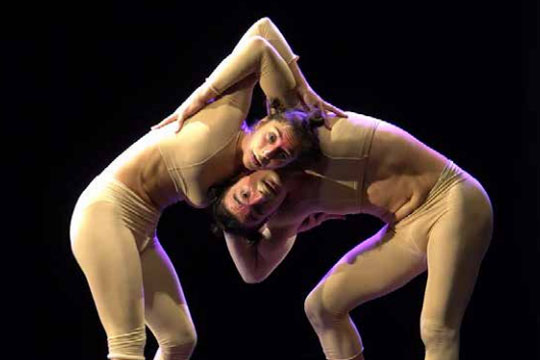 DNA 2024: "BIPEDESTRUCCIÓN" DNA 2024: "BIPEDESTRUCCIÓN"