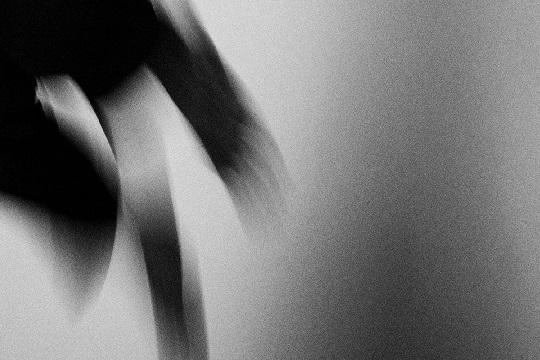 Dock of THe Bay 2024: "Di&aacute;logo #2. &iquest;C&oacute;mo ha influido lo digital en la reconfiguraci&oacute;n de la cr&iacute;tica del cine documental?"