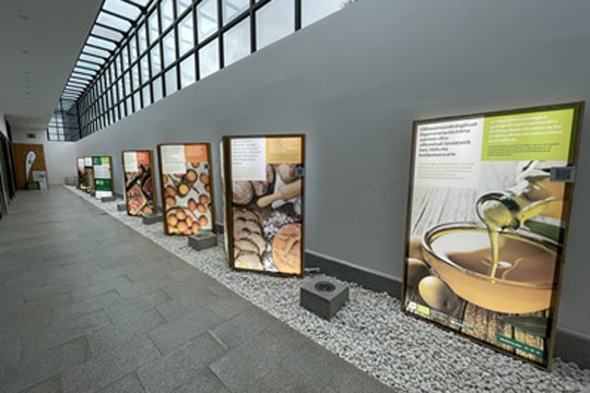 Exposici&oacute;n "&iexcl;Todo mejora con la alimentaci&oacute;n ecol&oacute;gica!"