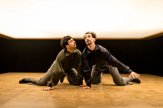 Festival de las Murallas 2024 (Danzad, Danzad Malditos): "Nuestro cuerpo, tierra suave" + "Pols" + "Los perros" + "Tiempo"