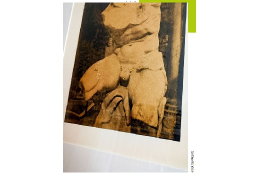 Fluxu 2024: "Torso Belvedere", Gonzalo Nicuesa