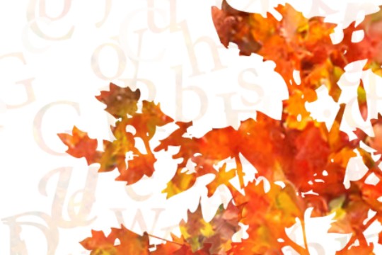 Ciclo "Cita con la poes&iacute;a" 2024-2025: "Encuentro con Neus Aguado, Tere Irastortza e Isabel Marina"