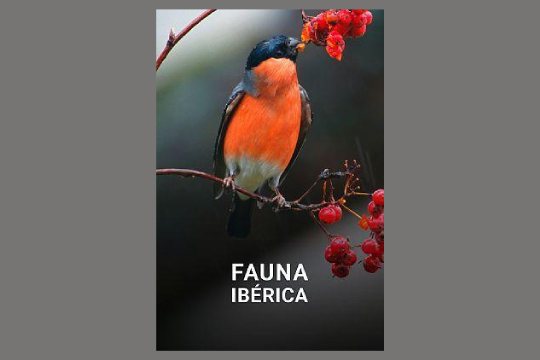 GNAT ZINEMA 2025: "Fauna Ib&eacute;rica"