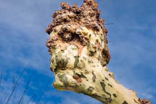 "Una exposici&oacute;n abierta a la imaginaci&oacute;n"