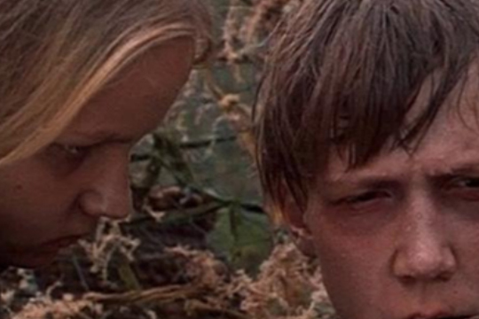 Cine club: "MASACRE VEN Y MIRA ( Idi i smotri, Come and See)"