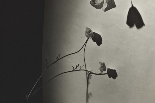 Presentaci&oacute;n de libro: "Hacia una historia feminista del arte del Pa&iacute;s Vasco"