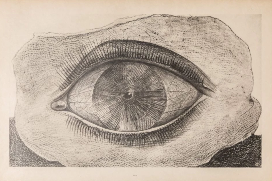 "Au rendez-vous des amis. Max Ernst y Paul &Eacute;luard, de Dad&aacute; al surrealismo"