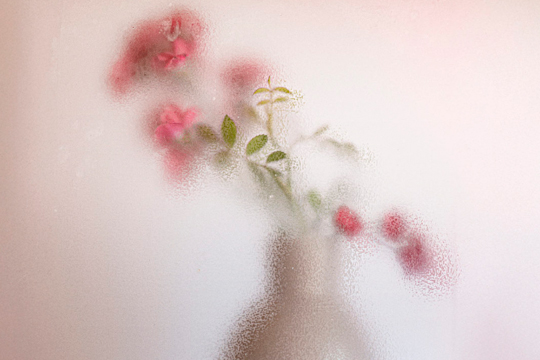 Mayo Fotogr&aacute;fico 2025: "7 x 7"