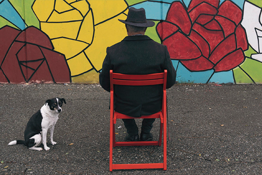 Mayo Fotogr&aacute;fico 2025: "La silla roja o the red chair"