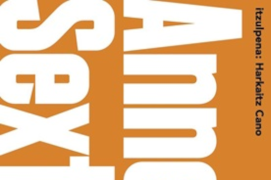 Literatura feminismotik: Anne Sexton