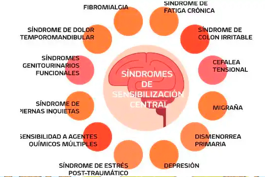 "Fibromialgia y S&iacute;ndrome de Fatiga Cr&oacute;nica: Conocer para comprender"
