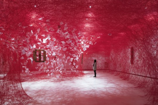 Visita guiadas: Exposici&oacute;n "My House is your House"