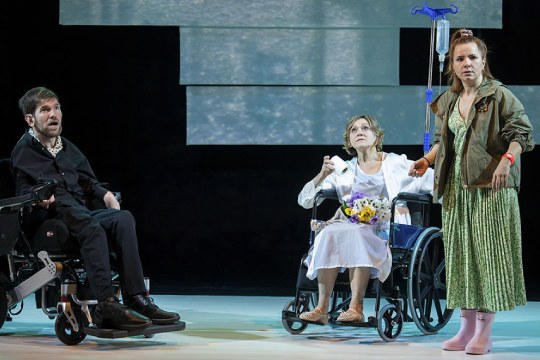 "Sabes que las flores de pl&aacute;stico nunca han vivido, &iquest;verdad?"