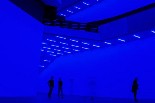 Exposición Guggenheim: "Steve McQueen : 66–76–26" Exposición Guggenheim: "Steve McQueen : 66–76–26"