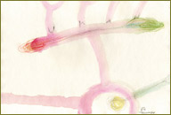 Premio Ukan Berrikuntza 2007