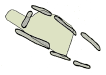 3 tipoa: Luzea irekia