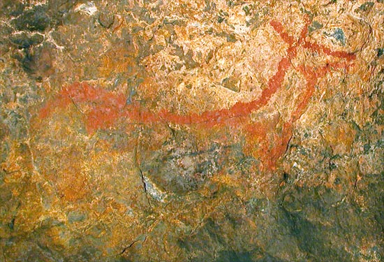 Figure 1 - Deer