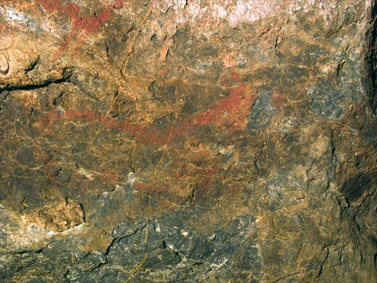 Figure 10 - Deer