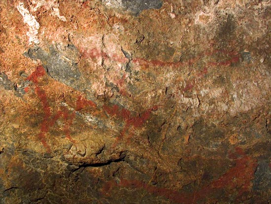 Figure 11 - Deer
