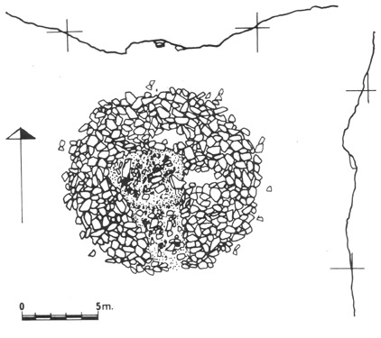 Sch�ma du dolmen d'Artaso