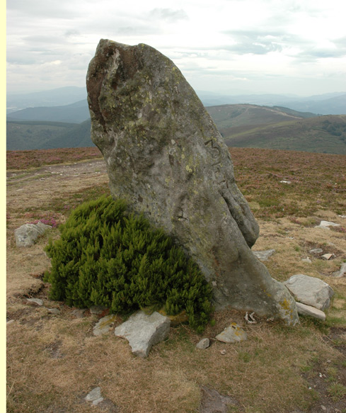 Menhir de Mugarriluze