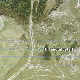 Vue un satellite du dolmen d'Urtapotolueta I